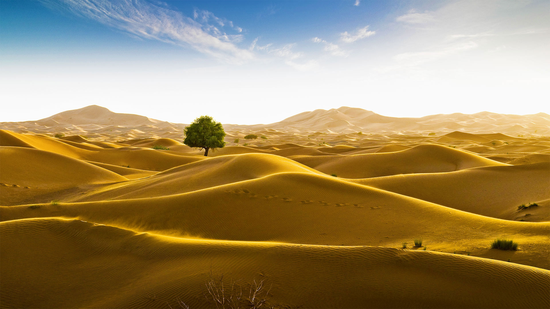 Rub' al Khali desert on the border of Oman and the Emirate of Dubai (? Daniel Schoenen/Offset by Shutterstock)