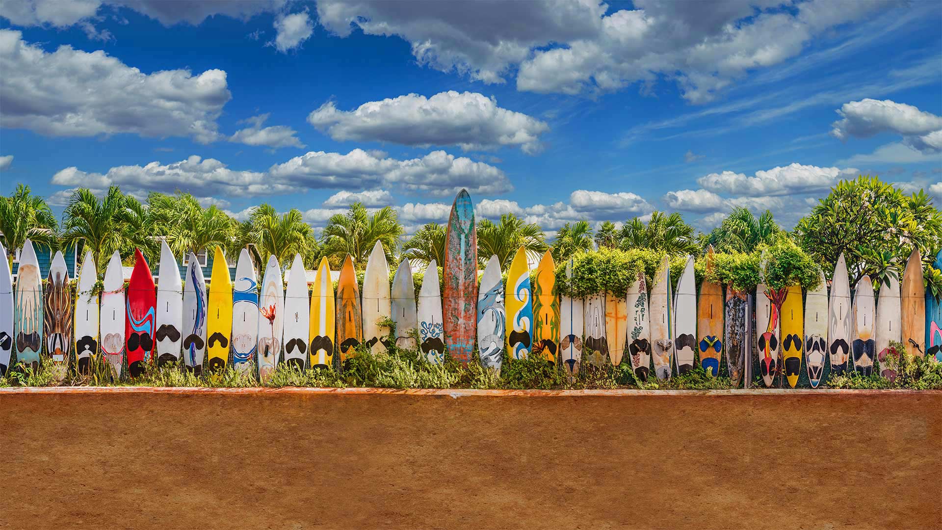 A surfboard fence near Paia, Maui, Hawaii (? Matt Anderson Photography/Getty Images)