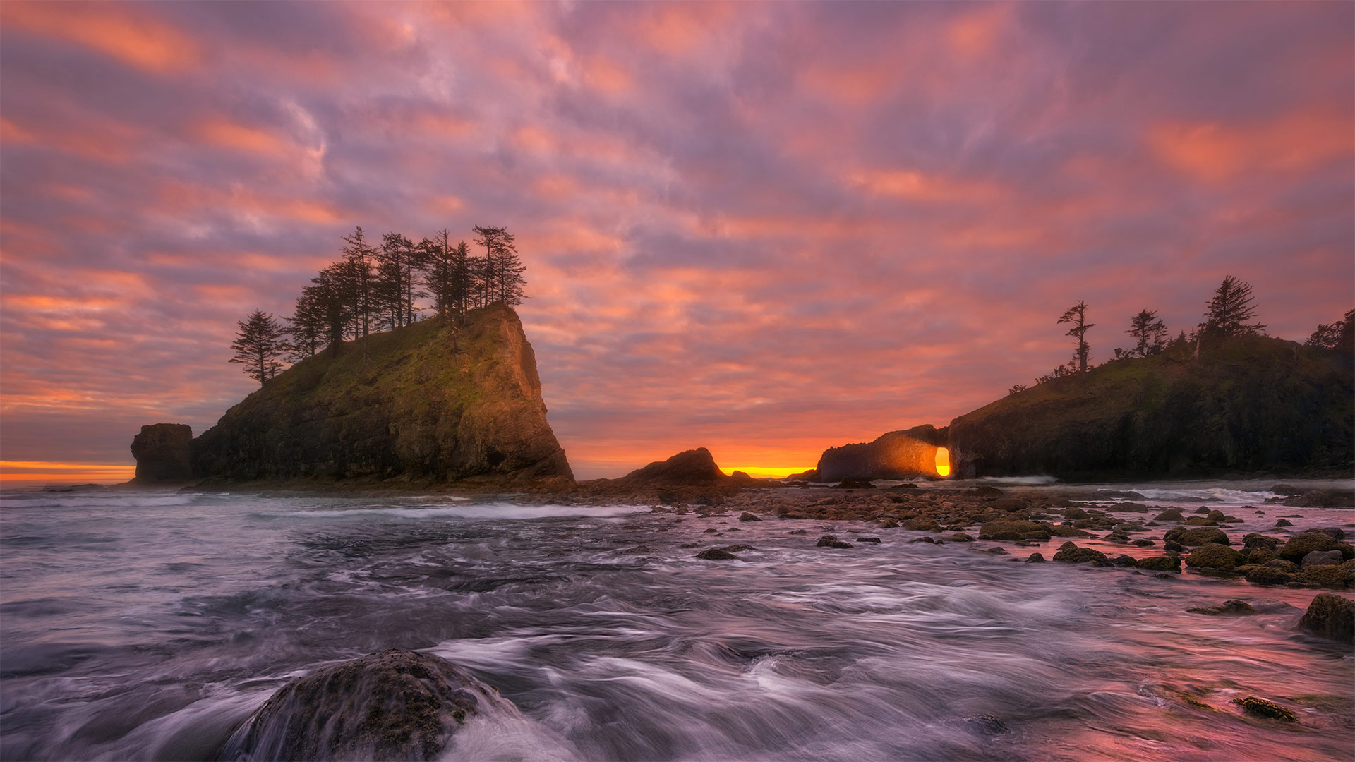 Olympic Coast National Marine Sanctuary, Washington state, USA (? Chris Moore/Tandem Stills + Motion)