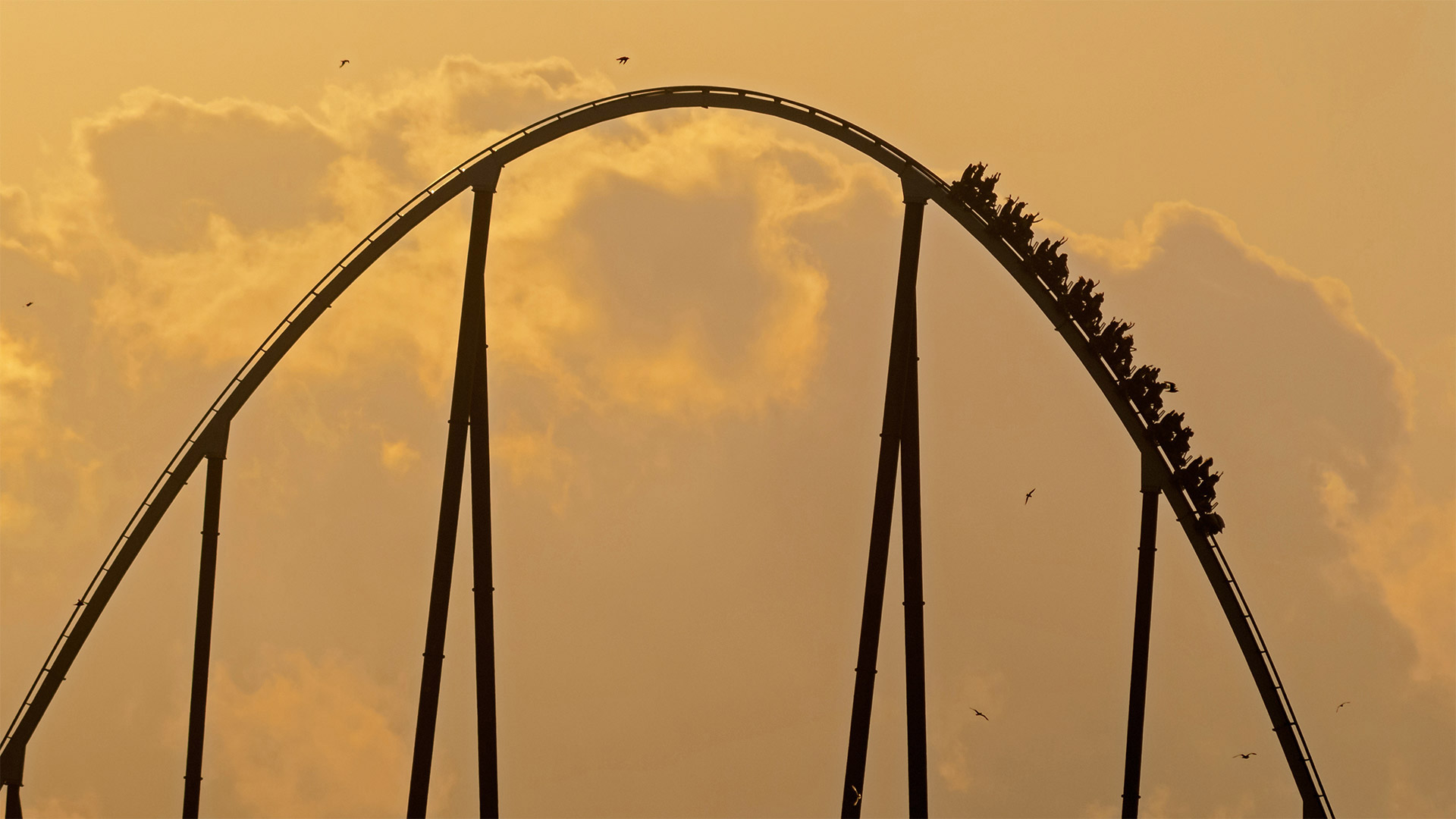 Shambhala roller coaster, PortAventura Park, Salou, Tarragona, Spain (? Joaquim F. P./Getty Images)